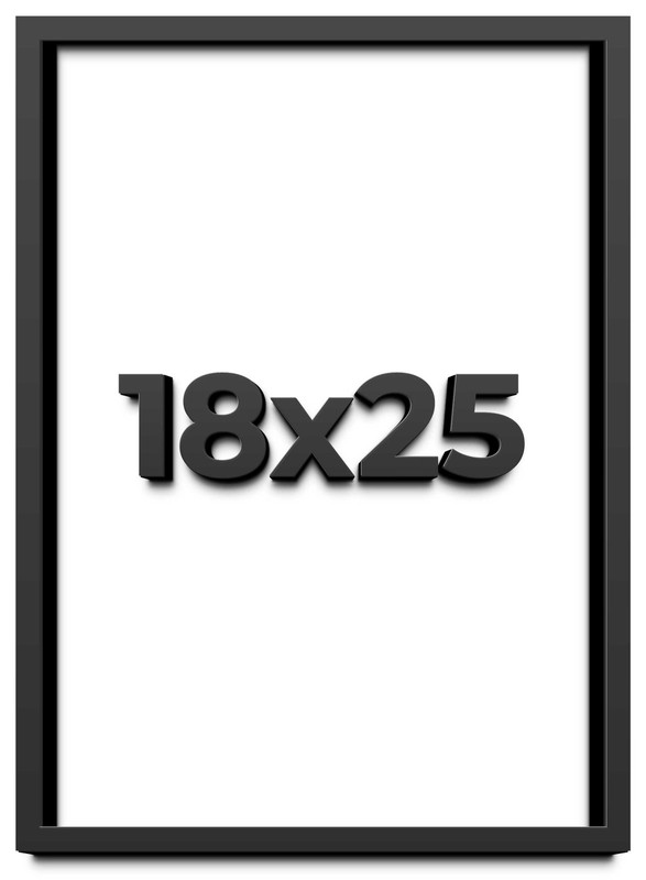 18×25 Shadow Box Frame Black | 1 inches Deep Real Wood Contemporary Shadowbox Di