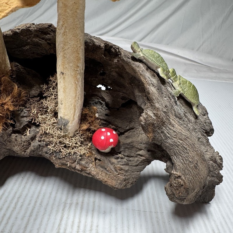 Tabletop Centerpiece Mushroom Bundle Botanical Accent Piece Decor Whimsical gallery