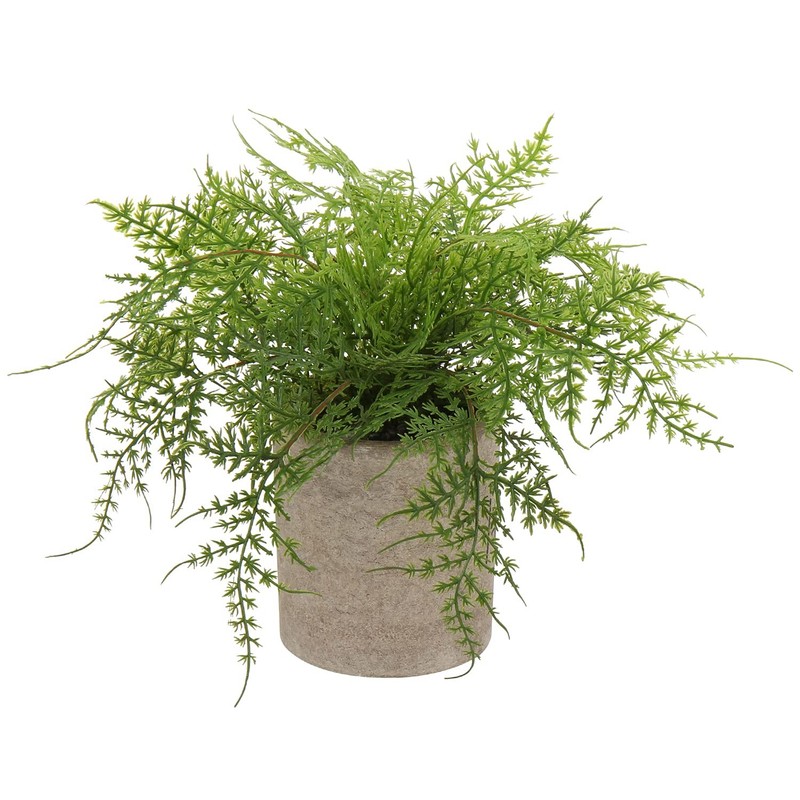 Small Fake Plant Potted Plants Artificial Decor Silk Asparagus Ferns Plant Faux
