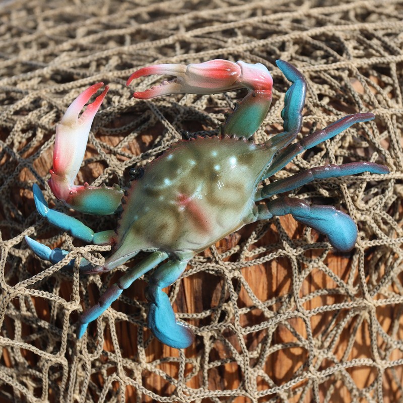 2- Small BLUE CRABS,Beach Decor,Coastal Decor,Species Correct Crab, CR-01 gallery