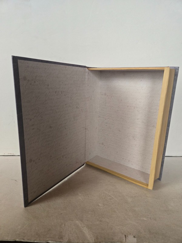 PUNCH STUDIO Storage Book Box 11″ x 8.5″ x 2.5″ ~ Keepsake Hideaway Book Safe