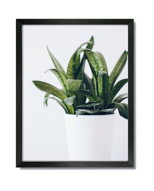 12×16 EcoLine Black Picture Frame with Clear Glass & Backing