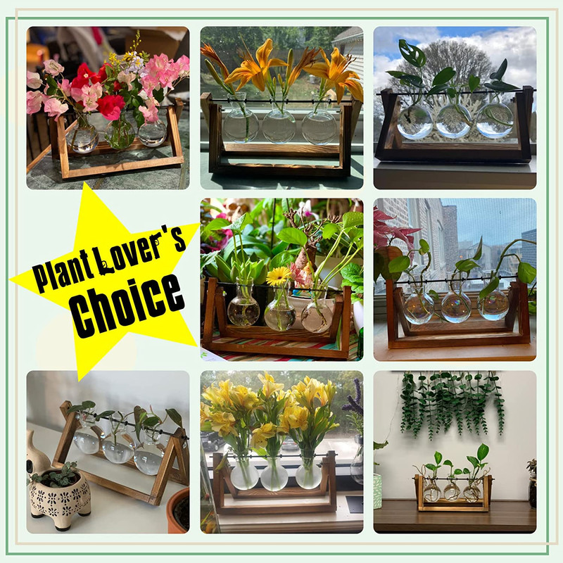 Plant Terrarium with Wooden Stand, Air Planter Bulb Glass Vase Metal Swivel Hold gallery