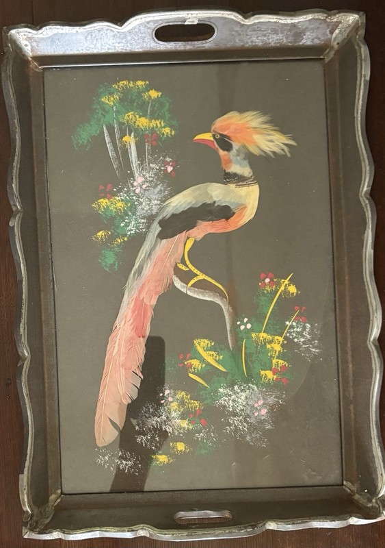 Vintage Feather Art Bird Metal Serving Tray Tropical Bird Real Feathers