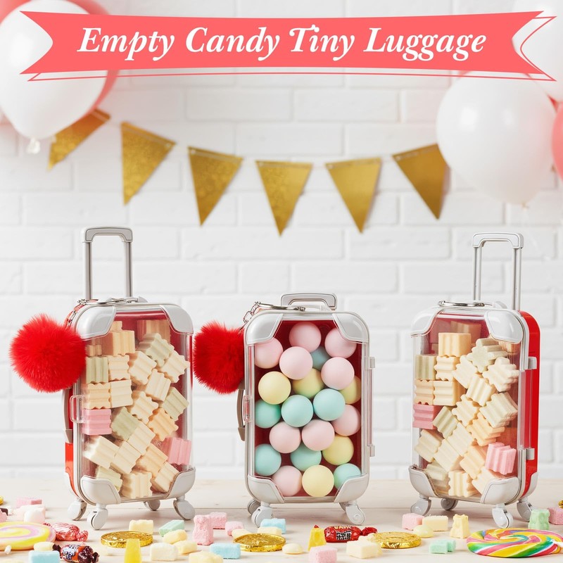 Lemonroad 60 Pcs Mini Empty Suitcase Storage Plush Ball Keychain And Scrunchies gallery