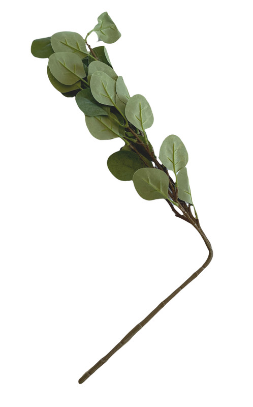 Artificial Eucalyptus Plant Branches (6 @ Appx 25" Length Per Branch) gallery