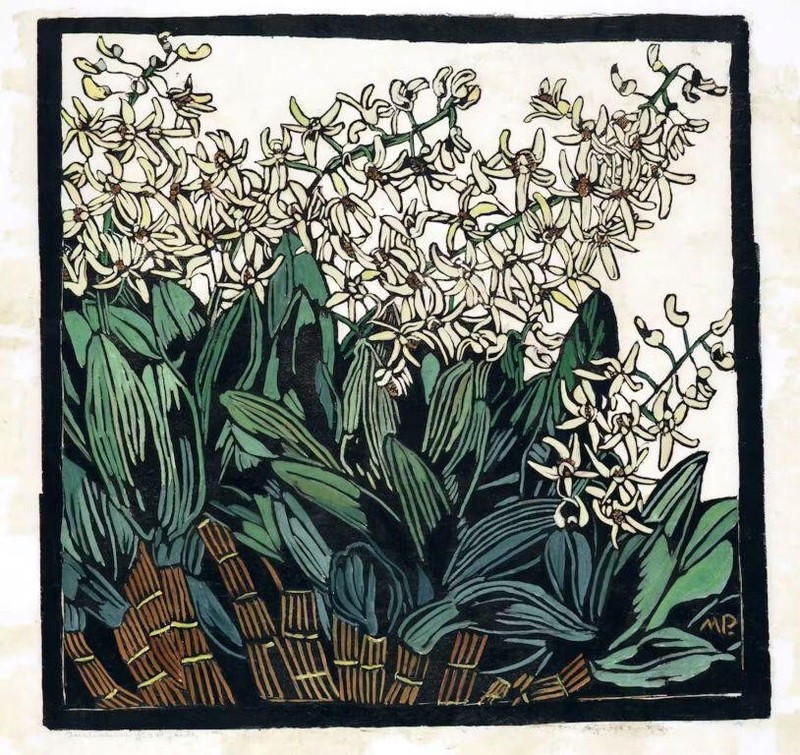 Rock Lily Margaret Preston 1933 Australian Modernist Woodcut Art Print