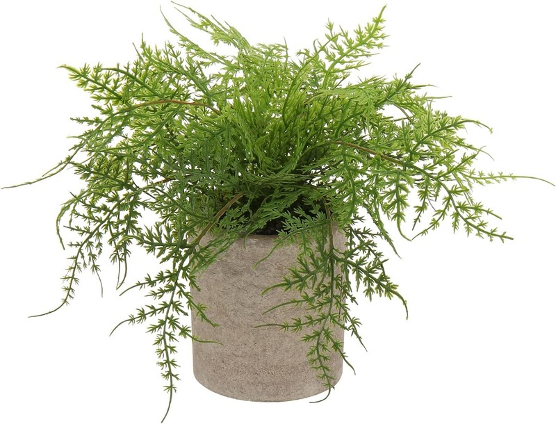 Small Fake Plant Potted Plants Artificial Decor Plastic Asparagus Ferns Plant