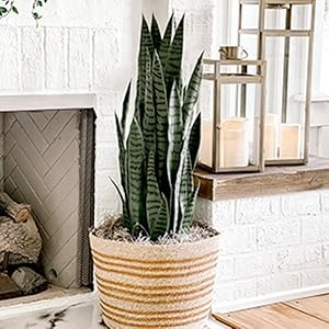 28in. Calla Lily Artificial Arrangement gallery