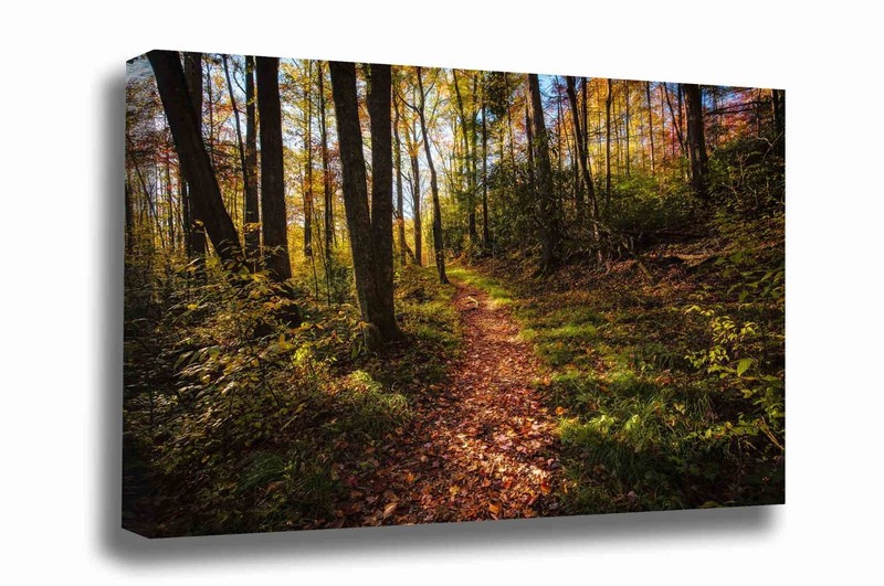 Hiking Trail Canvas: Tennessee Great Smoky Mountains Forest Nature Wall Art