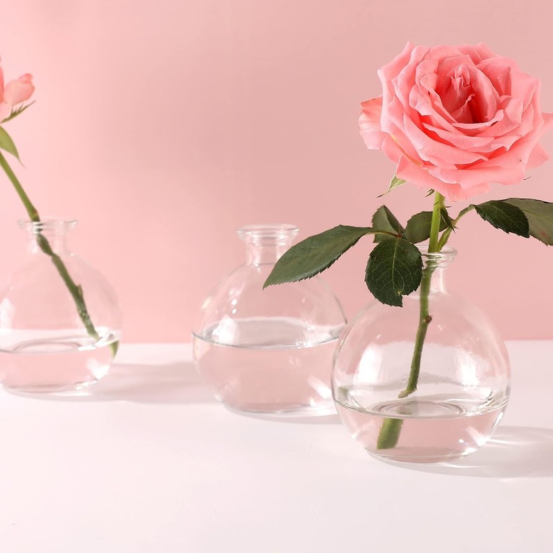 Decorative Glass Bottles with Cork Sper (9 fl oz. Pot gallery