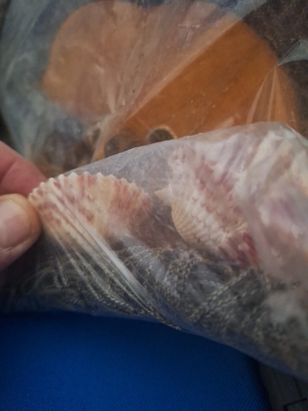 2 Authentic Nautical Fish Net 5' x 10' New in Package, Real Nautical Look 71 gallery