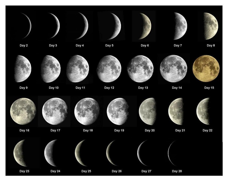 MOON PHASES CYCLE GLOSSY POSTER PICTURE PHOTO PRINT sun moon orbit lunar 4213