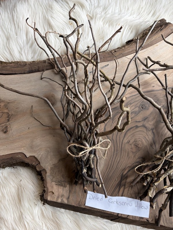 Dried Corkscrew Willow Branches for Home Decor gallery