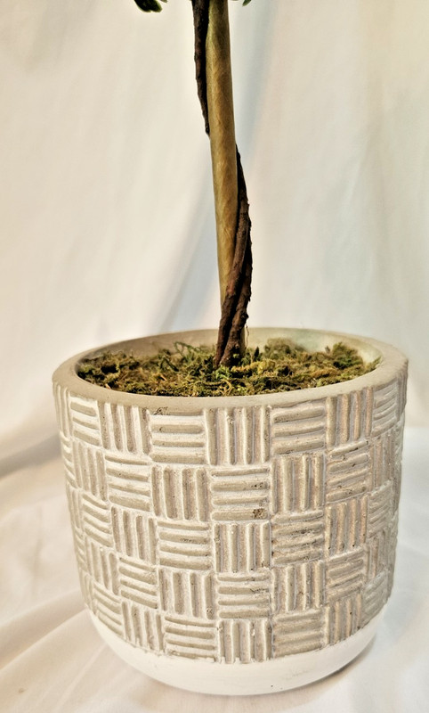 Mainstays 15” Artificial Boxwood Topiary in Gray Cement Planter Home Décor gallery