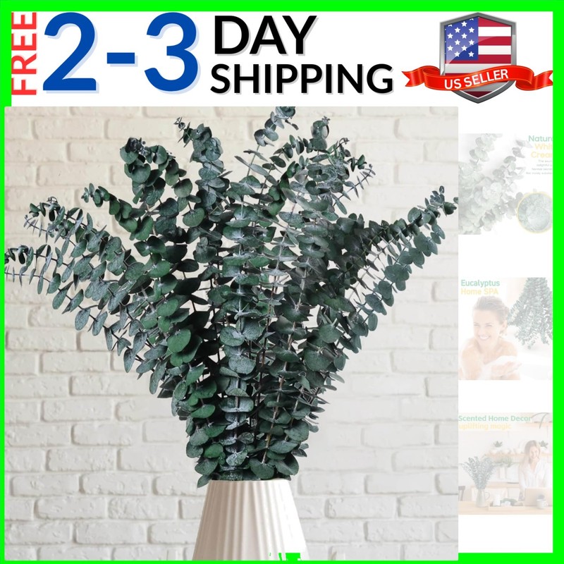 Preserved Dried Eucalyptus Stems, 17″ Natural Branches for Shower Hanging, Re…