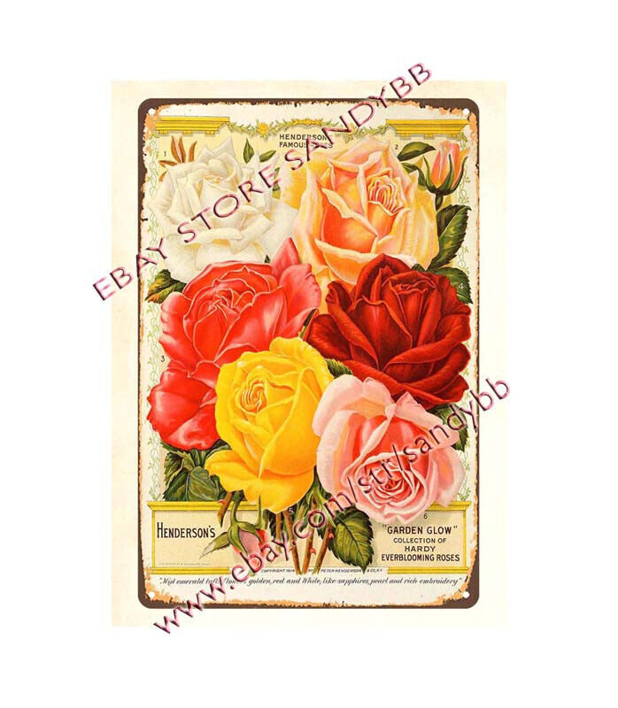 1914 Henderson, Peter & Co Garden Glow Hardy Everblooming Roses metal tin sign