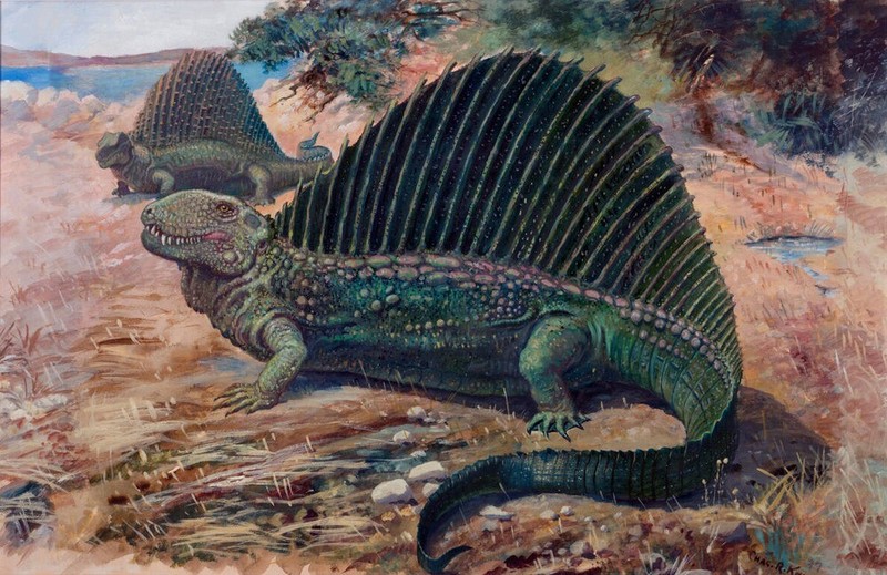 Charles R Knight Dimetrodon : Prehistoric Reptiles : Art Print 1897