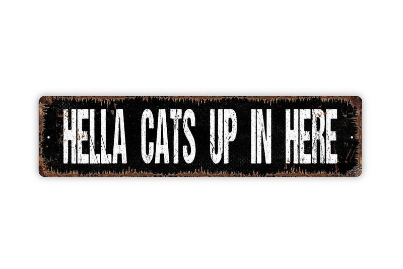 Hella Cats Up In Here Sign | Funny Cat Lover Wall Art | Pet Owner Home Decor gallery