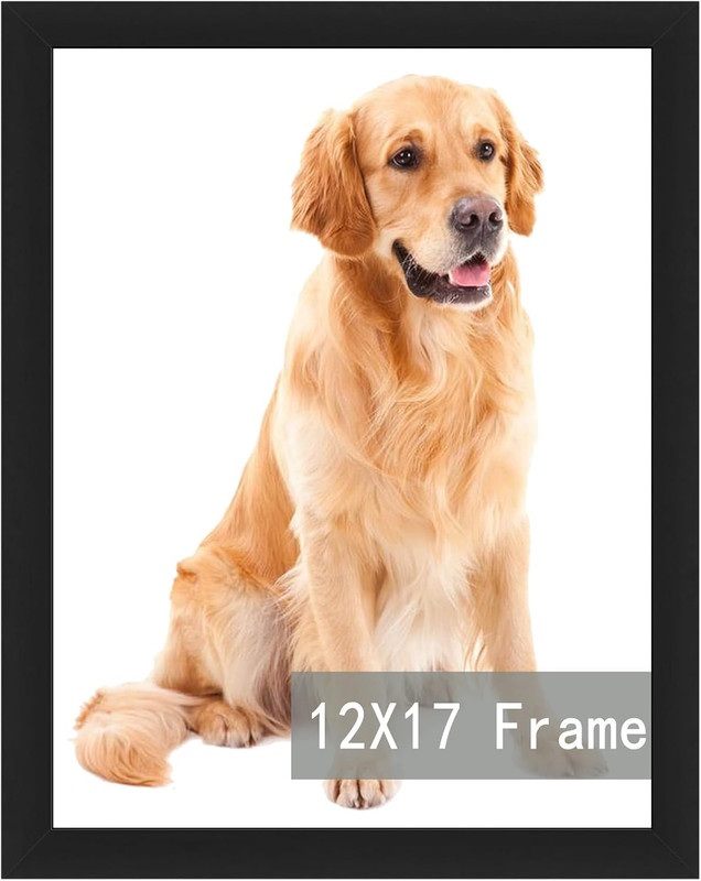 12X17 Black Picture Frames, Photos Frame with Plexiglass, Wall Gallery Photo Fra