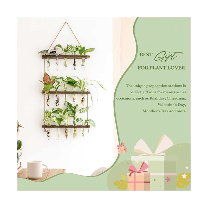 Mkono Plant Propagation Tubes, 3 Tiered Wall Hanging Terrarium ... FAST USA SHIP gallery