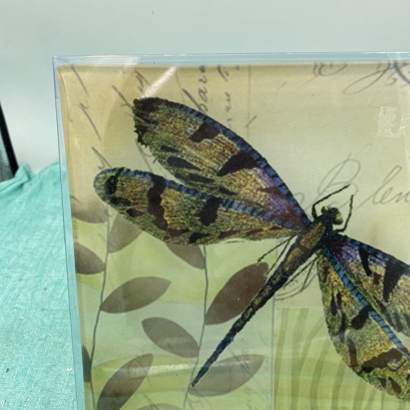 7.75” Square Pale Green Dragonfly Collector Glass Plate New In Box gallery