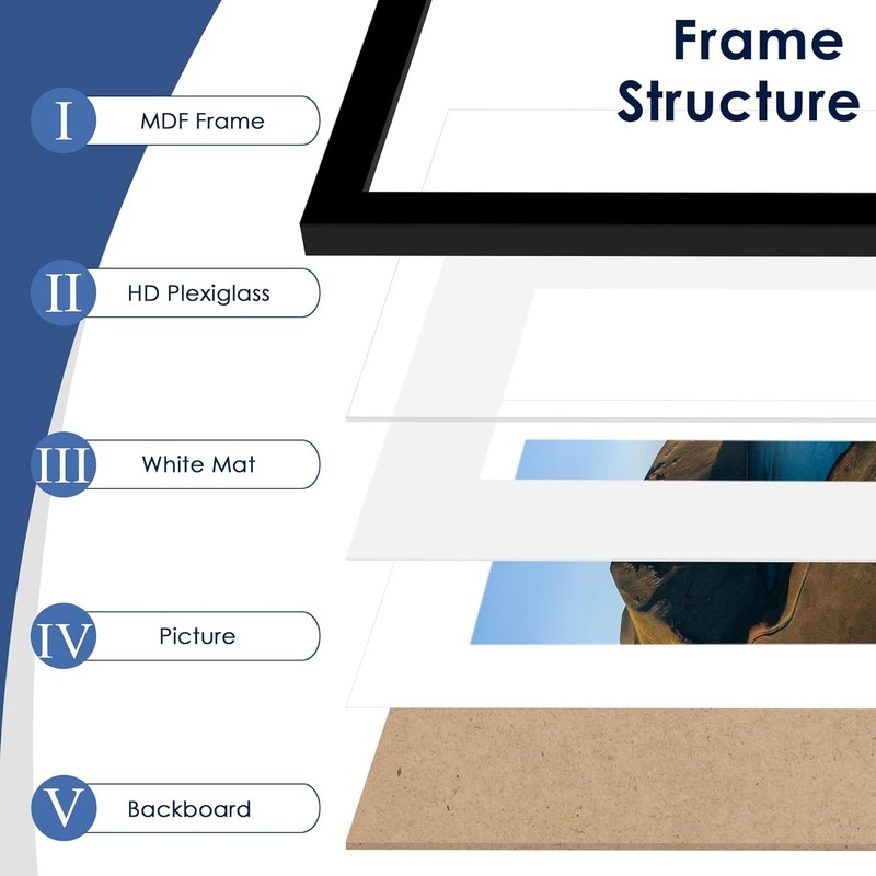 13X19 Picture Frame Set of 6, Display Pictures 11 X 17 with Mat or 13 X 19 witho gallery