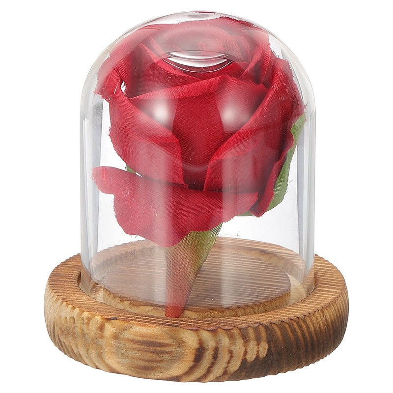 Glass Cloche Display Dome 3.1″x2.5″ Glass Dome Display Case Wood