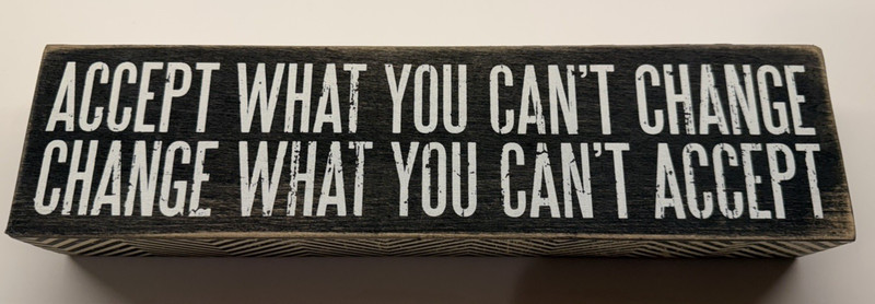 “Accept What You Can’t Change, Change What You Can’t Accept” Wooden Sign 12×3