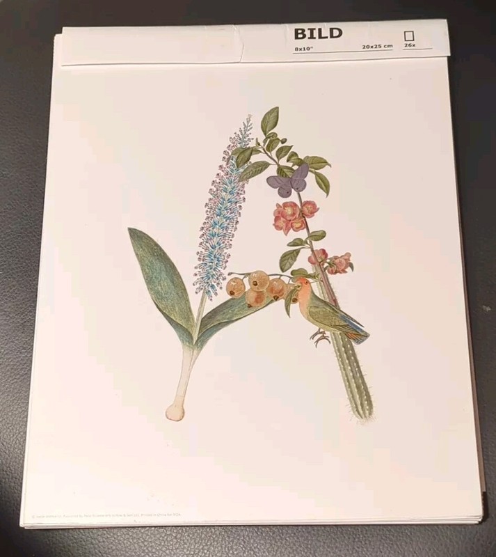 Ikea Set Of 26 BILD Art card A-Z 8″x10″ Alphabet Floral Animal Word Letter Wall