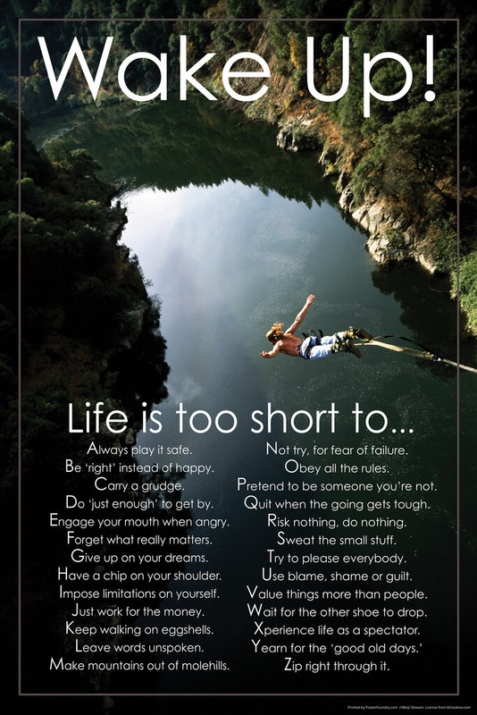 Wake Up! Life Is Too Short To… Motivational Poster 12×18