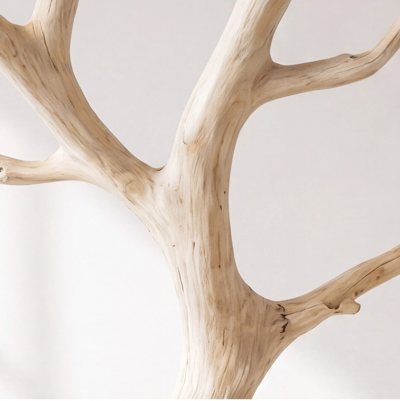 Tree Branch Coat Rack Wooden Freestanding Coat Stand Rustic Entryway Organizer gallery