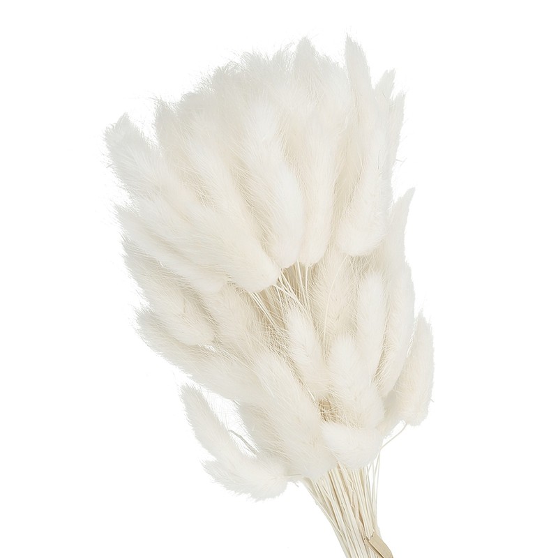 15.7in Bunny Tails Dried Flowers 70pcs Pampas Grass Decor, White