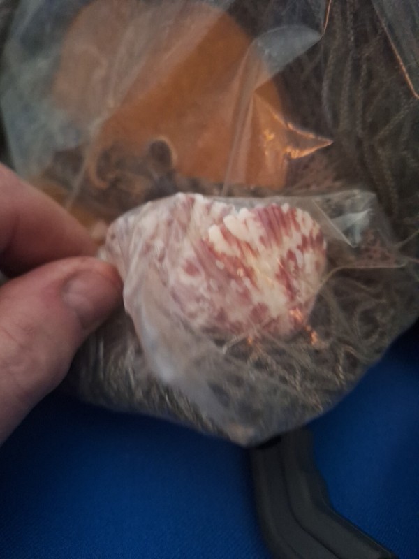 2 Authentic Nautical Fish Net 5' x 10' New in Package, Real Nautical Look 71 gallery