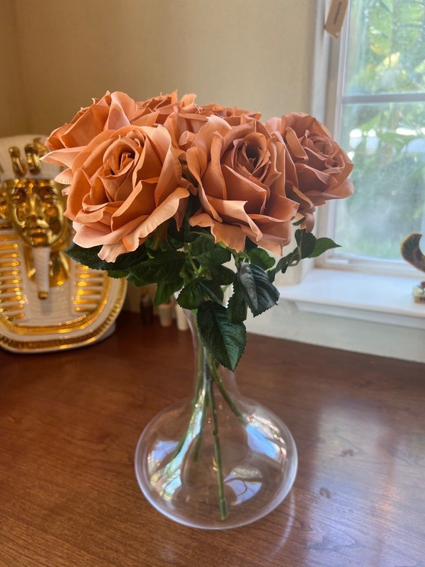 Rosscer Roses Artificial Silk 6 Piece Long Stem in Rustic Gradient Peach Color.