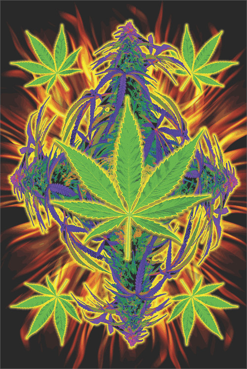 Flaming Leaf – Joseph Charron Poster 24in x 36in