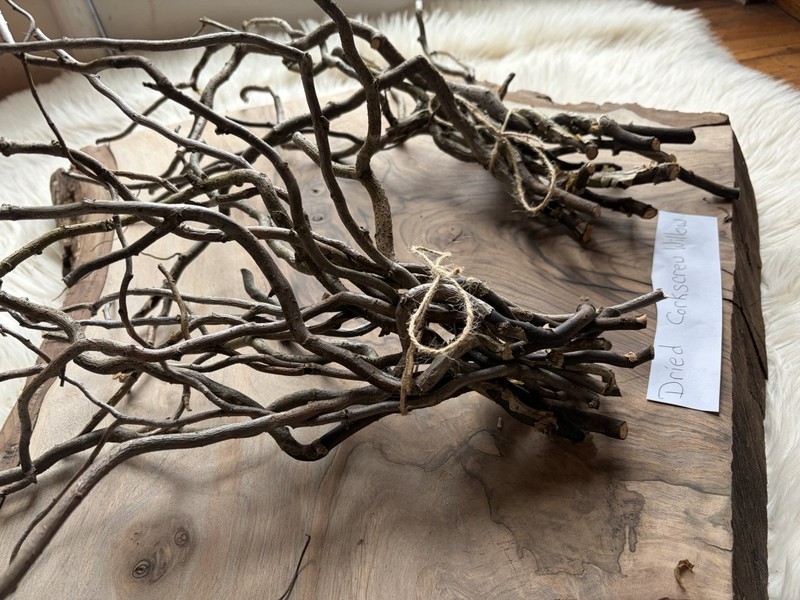 Dried Corkscrew Willow Branches for Home Decor gallery