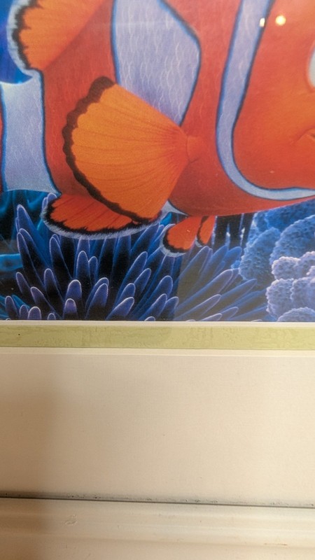 Nemo Framed Art Children's Room Decor gallery