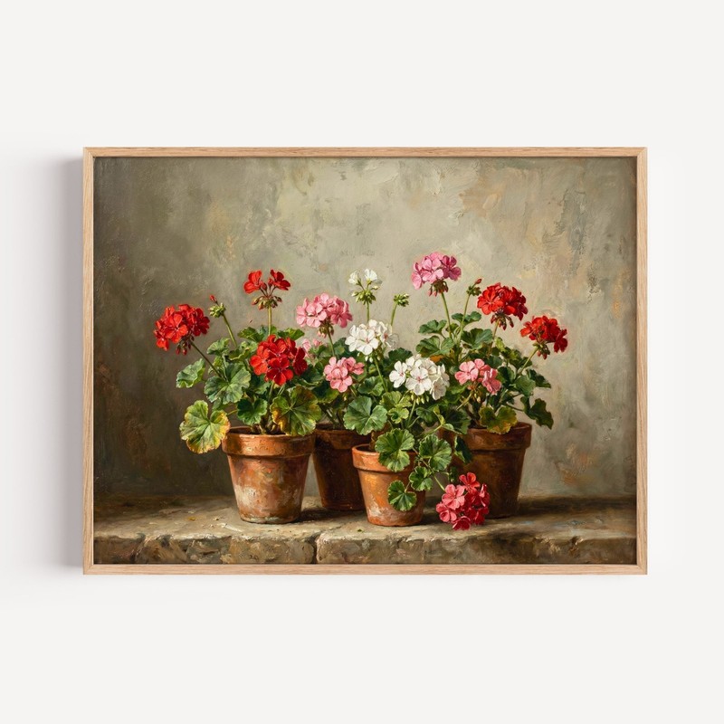 Blooming Geraniums In Terracotta Pots Wall Art, Vintage Rustic Still Life Floral