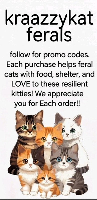 Black Cat Metal Sign 8x12 Once You Lived With A Black Cat You Can Never Live Wit gallery