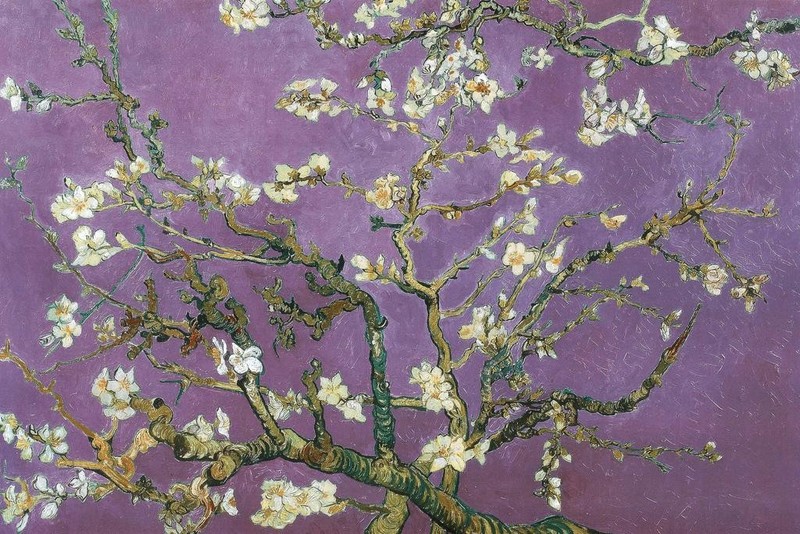 Vincent Van Gogh Almond Blossom Branches Purple Art Print Poster 36×24