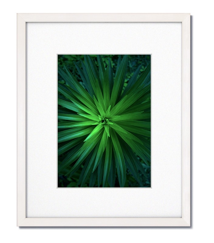12×16 EcoLine White Picture Frame with Single White Mat for 8×12