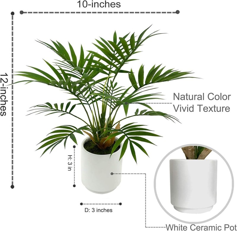 Instantly Beautify Spaces with Our 12-Inch Artificial Palm Plant - Easy Care! gallery