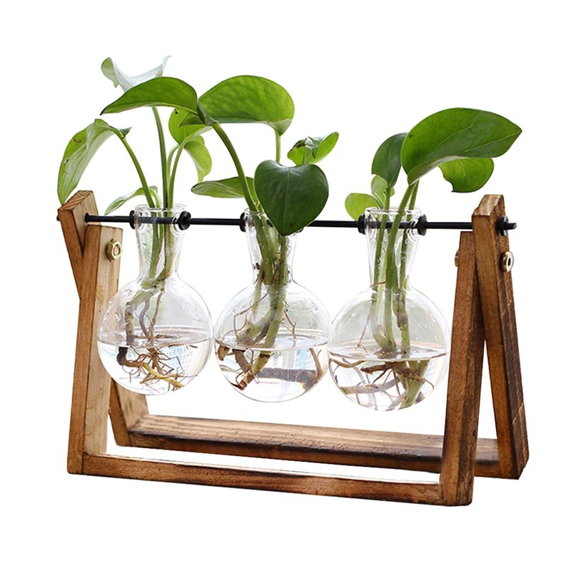 XXXFLOWER Plant Terrarium with Wooden Stand, Air Planter Bulb Glass Vase Metal S