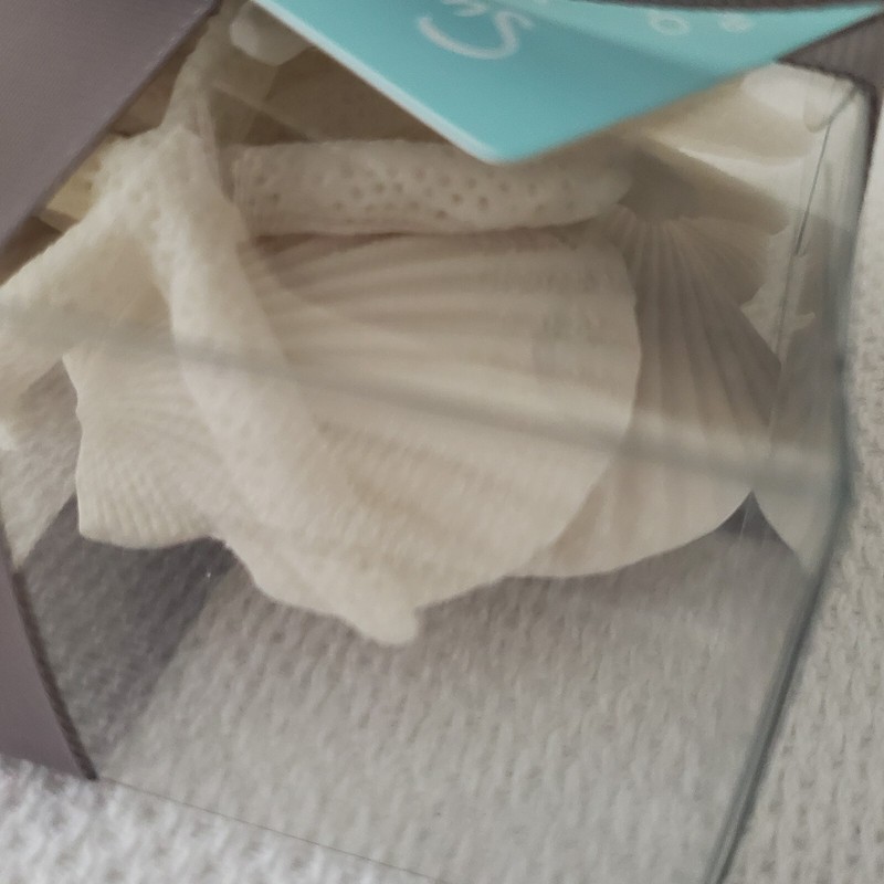 NEW Sur La Table - SEASIDE SCATTER STARFISH SHELLS Table Decor, 20 Pieces w/Tag gallery