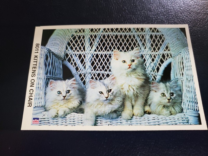 Kittens on Chair #8011 Starline Mini Poster 3 1/4 by 5 Inches