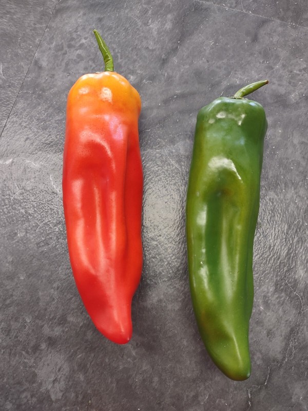 6″ Decorative green and red chili peppers, crafts, silk flower floral arrangemen