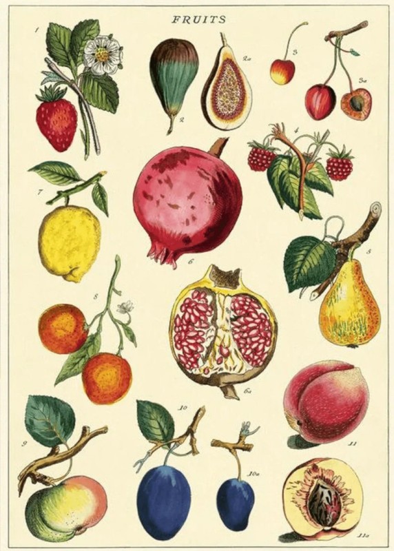 17710.Wall Decor Poster.Interior Art.Botanical Fruits Illustration Food Kitchen