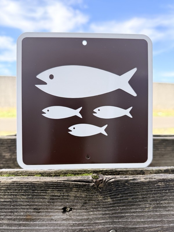 Fish Hatchery Metal Sign 6”x6” Camping / Water Conservation Fishing Cabin Decor