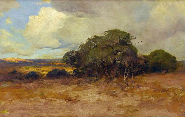 stunning oil painting handpainted on canvas-Texas Dry Country